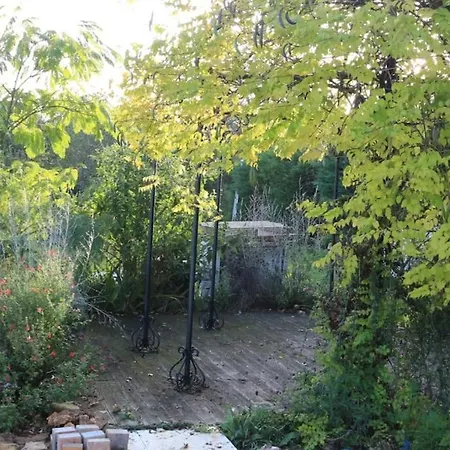 Les Collineaux Lizant